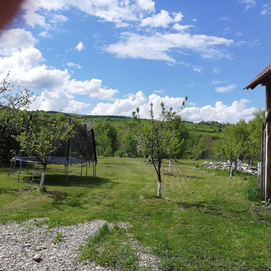 Casa Din Barcut ξενώνας Εξωτερικό φωτογραφία