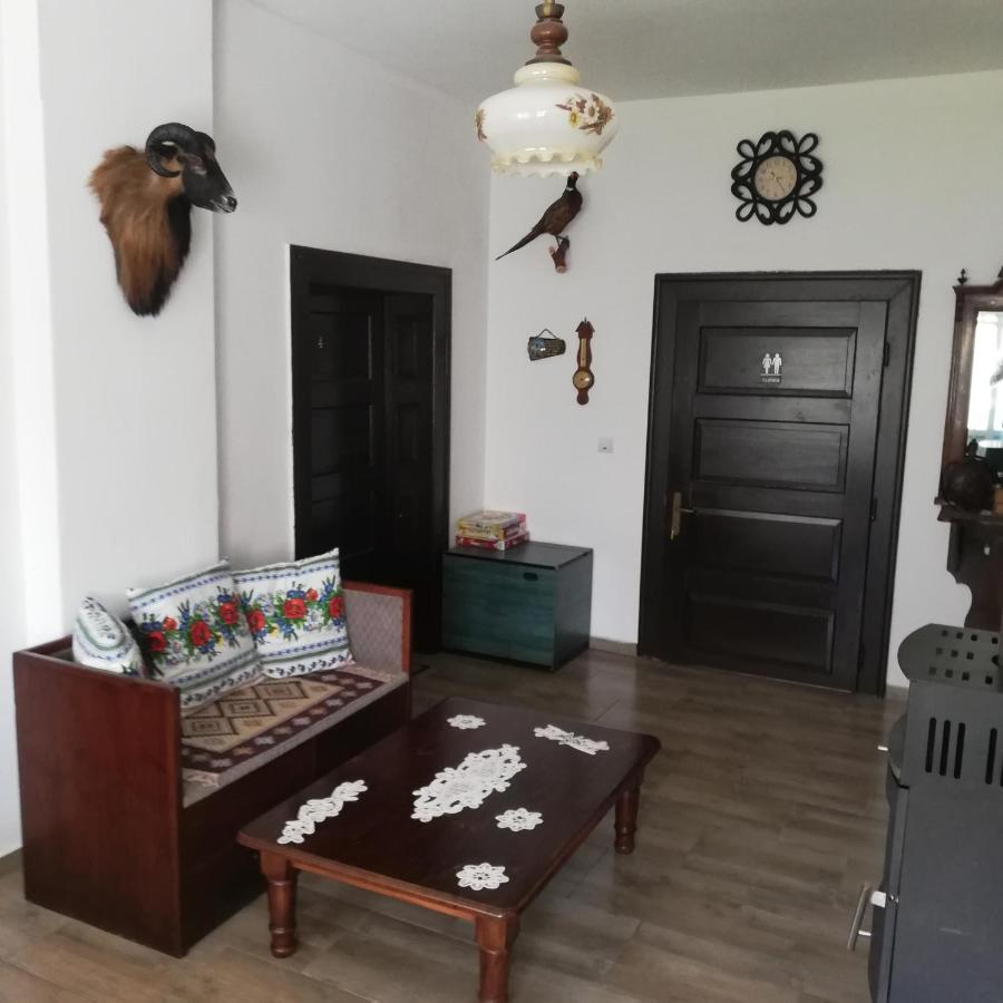 Casa Din Barcut ξενώνας Εξωτερικό φωτογραφία