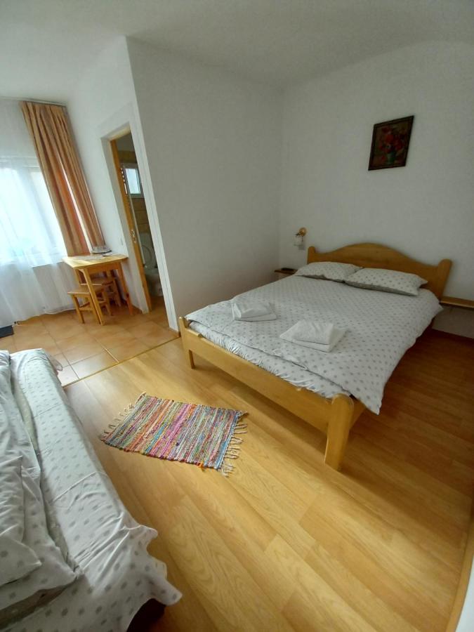 Casa Din Barcut ξενώνας Εξωτερικό φωτογραφία
