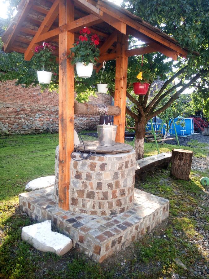 Casa Din Barcut ξενώνας Εξωτερικό φωτογραφία