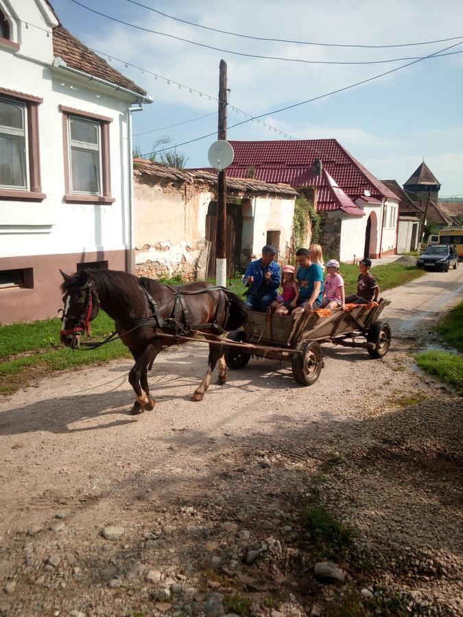 Casa Din Barcut ξενώνας Εξωτερικό φωτογραφία