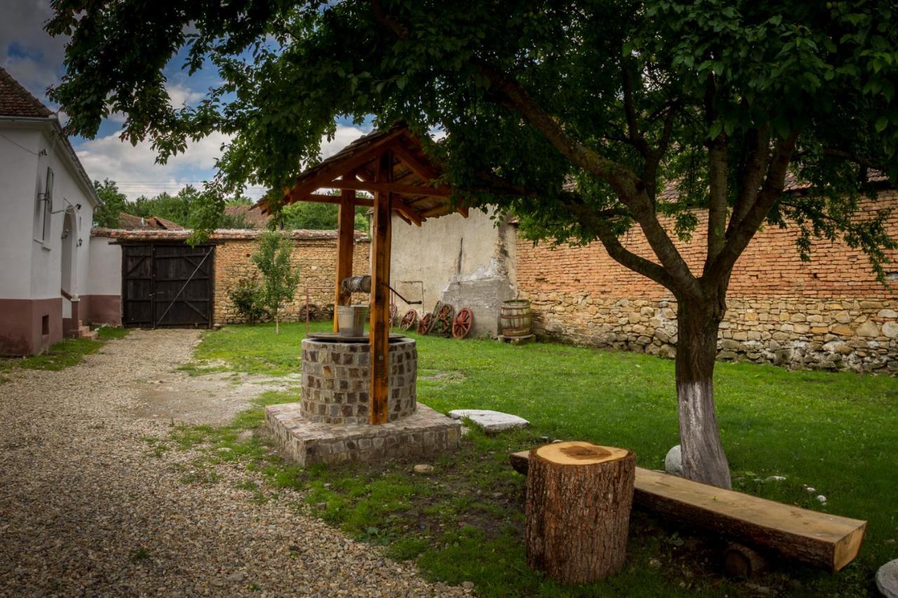 Casa Din Barcut ξενώνας Εξωτερικό φωτογραφία