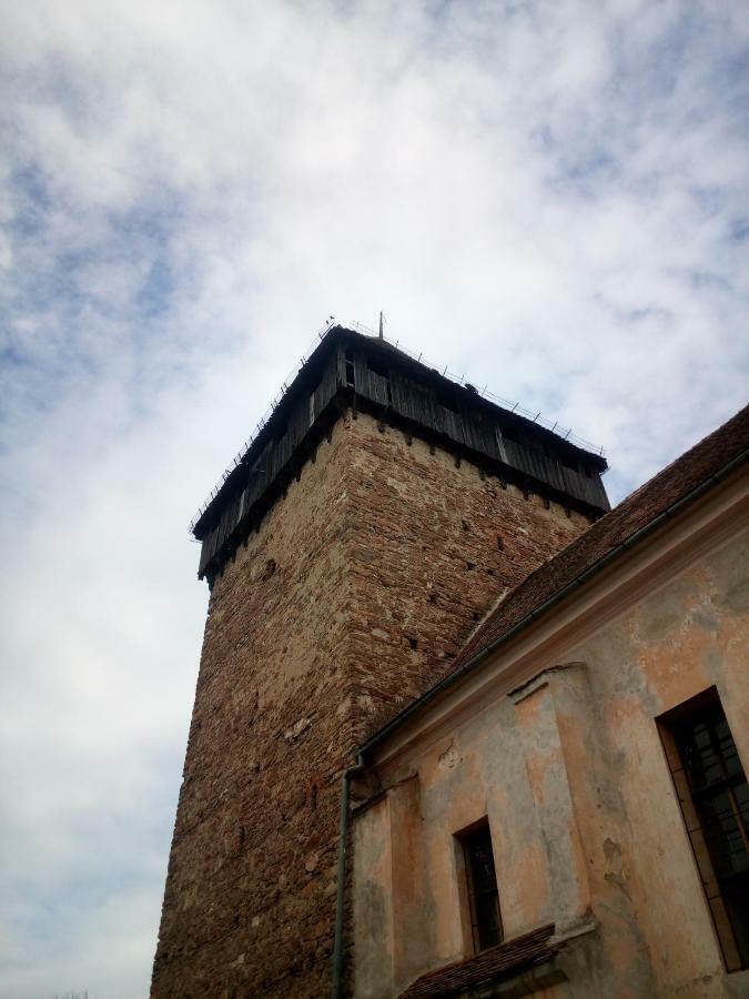 Casa Din Barcut ξενώνας Εξωτερικό φωτογραφία
