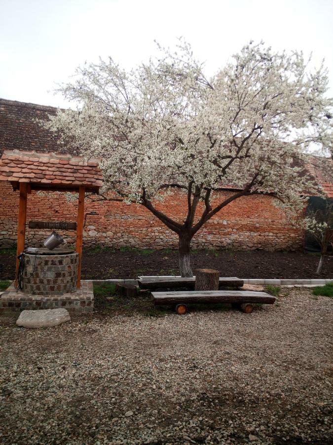 Casa Din Barcut ξενώνας Εξωτερικό φωτογραφία